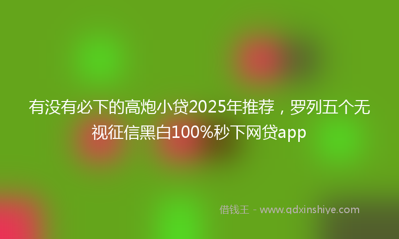 有没有必下的高炮小贷2025年推荐，罗列五个无视征信黑白100%秒下网贷app