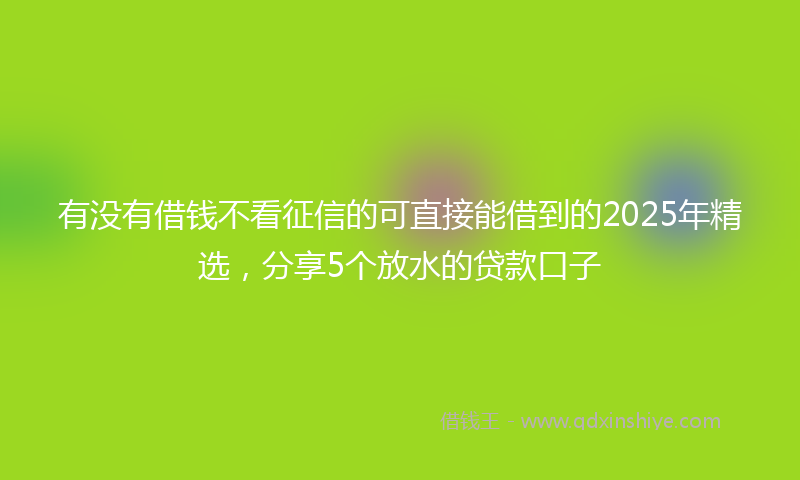 有没有借钱不看征信的可直接能借到的2025年精选，分享5个放水的贷款口子