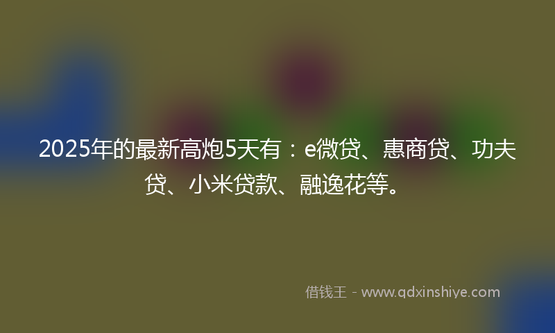 2025年的最新高炮5天有：e微贷、惠商贷、功夫贷、小米贷款、融逸花等。