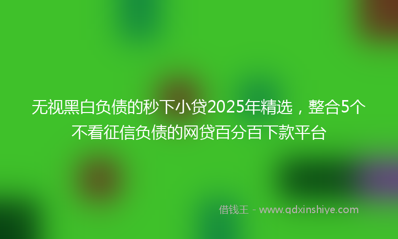 无视黑白负债的秒下小贷2025年精选，整合5个不看征信负债的网贷百分百下款平台