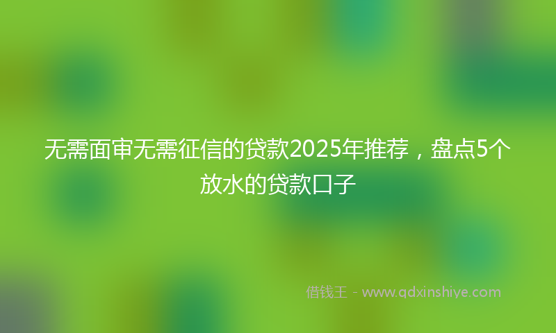无需面审无需征信的贷款2025年推荐，盘点5个放水的贷款口子
