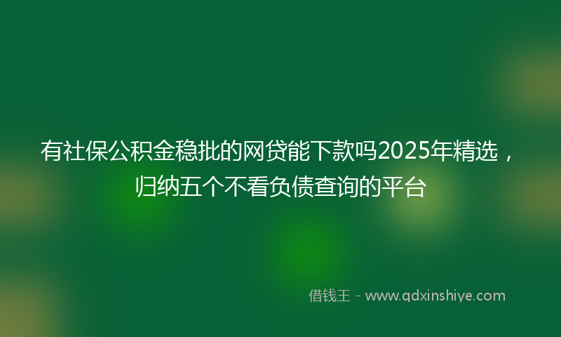 有社保公积金稳批的网贷能下款吗2025年精选，归纳五个不看负债查询的平台