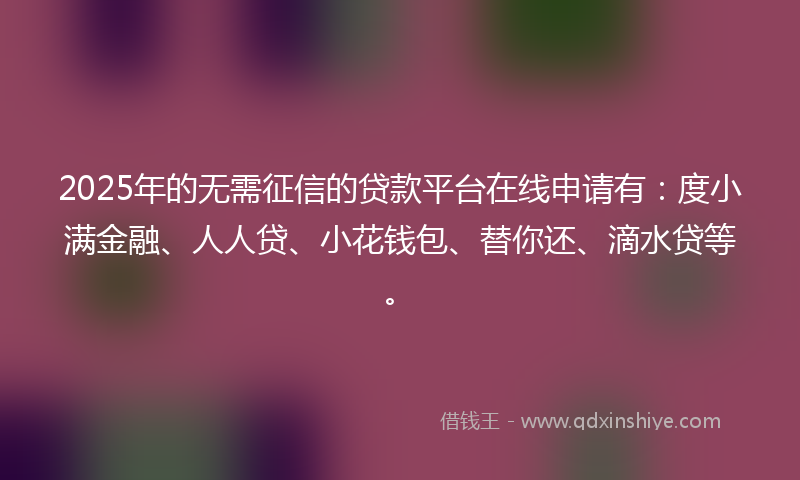 2025年的无需征信的贷款平台在线申请有：度小满金融、人人贷、小花钱包、替你还、滴水贷等。