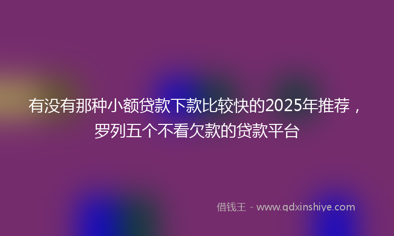 有没有那种小额贷款下款比较快的2025年推荐，罗列五个不看欠款的贷款平台