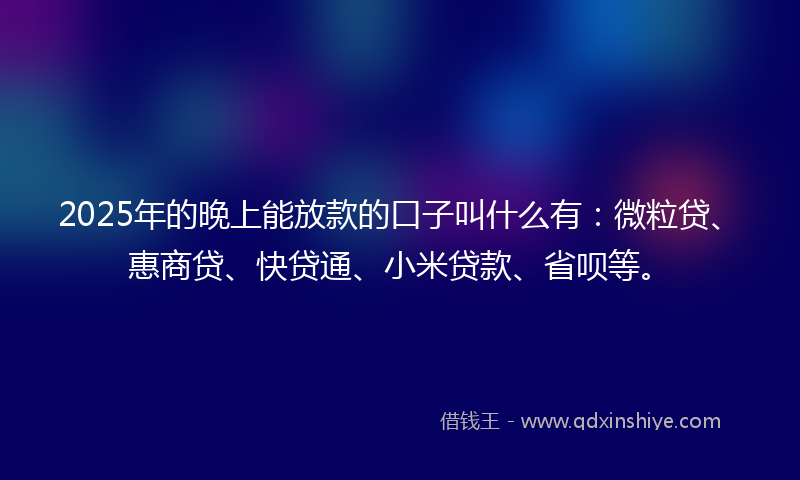 2025年的晚上能放款的口子叫什么有：微粒贷、惠商贷、快贷通、小米贷款、省呗等。