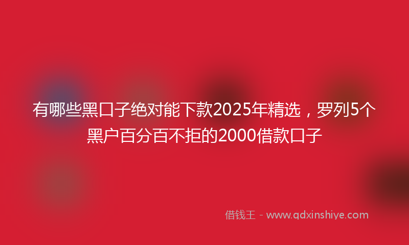 有哪些黑口子绝对能下款2025年精选，罗列5个黑户百分百不拒的2000借款口子