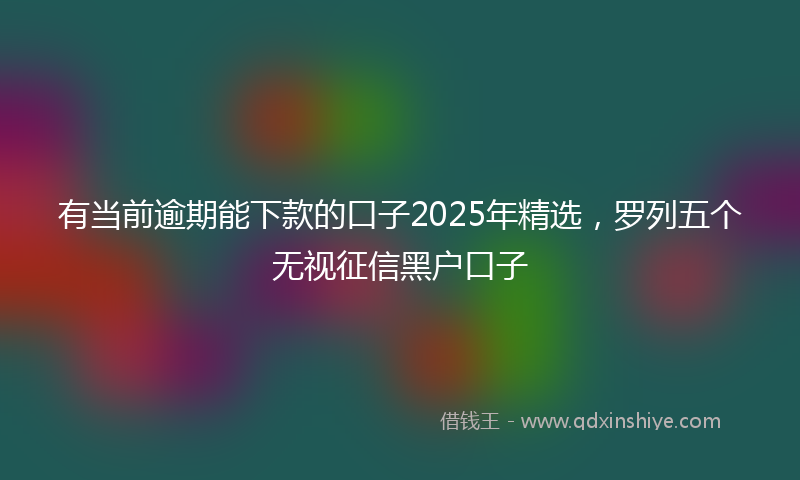 有当前逾期能下款的口子2025年精选，罗列五个无视征信黑户口子