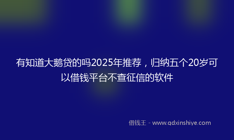 有知道大鹅贷的吗2025年推荐，归纳五个20岁可以借钱平台不查征信的软件