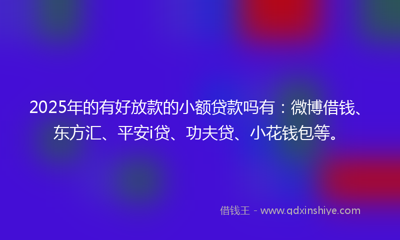 2025年的有好放款的小额贷款吗有：微博借钱、东方汇、平安i贷、功夫贷、小花钱包等。