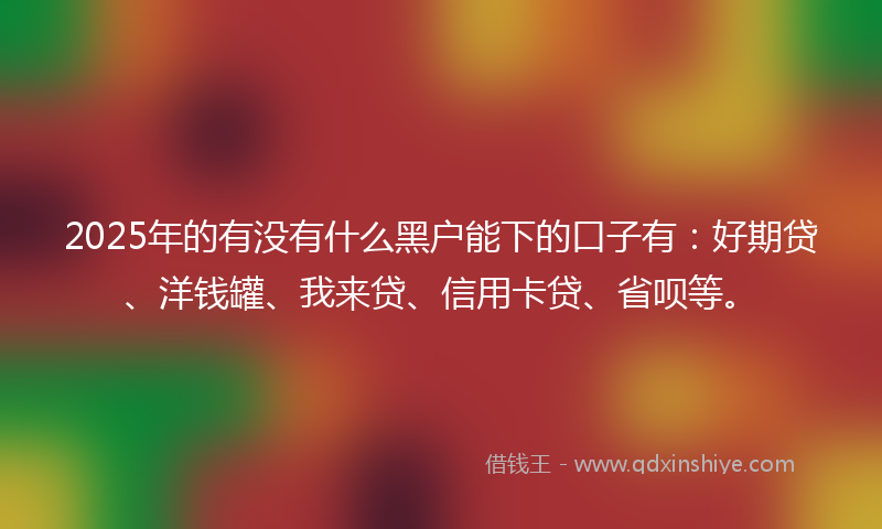 2025年的有没有什么黑户能下的口子有：好期贷、洋钱罐、我来贷、信用卡贷、省呗等。