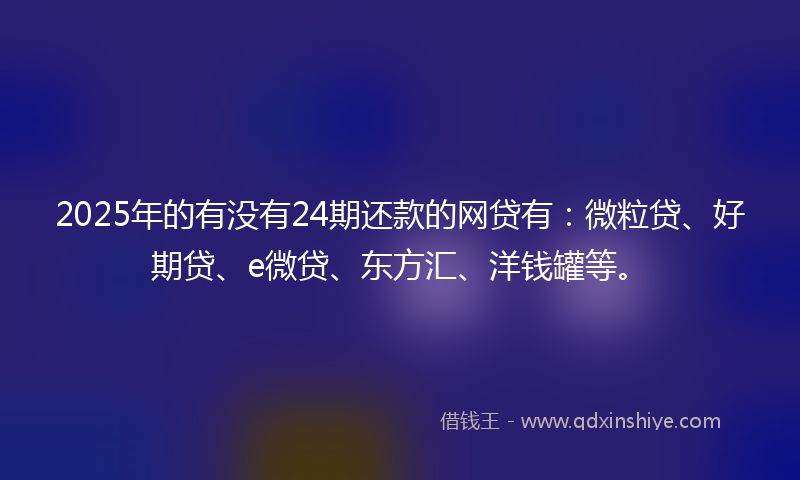 2025年的有没有24期还款的网贷有：微粒贷、好期贷、e微贷、东方汇、洋钱罐等。