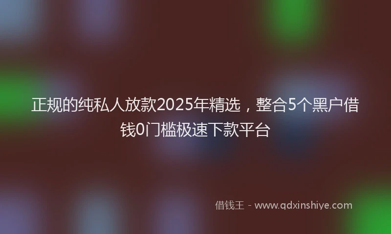 正规的纯私人放款2025年精选，整合5个黑户借钱0门槛极速下款平台