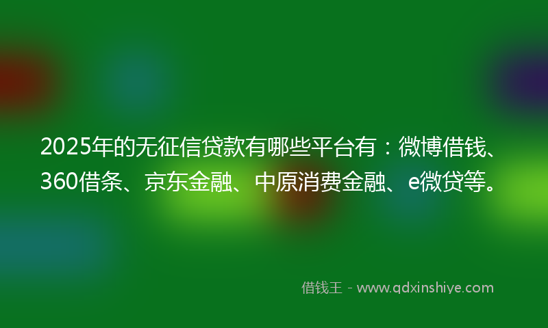2025年的无征信贷款有哪些平台有：微博借钱、360借条、京东金融、中原消费金融、e微贷等。
