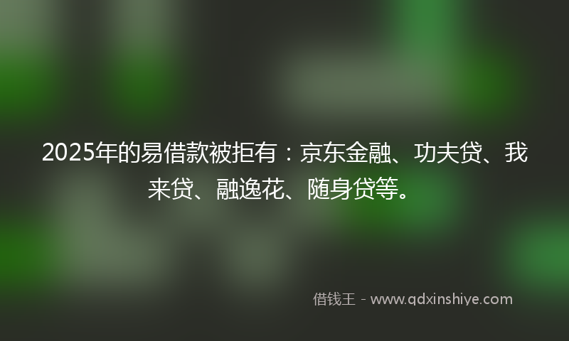 2025年的易借款被拒有：京东金融、功夫贷、我来贷、融逸花、随身贷等。