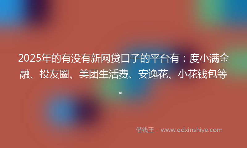 2025年的有没有新网贷口子的平台有：度小满金融、投友圈、美团生活费、安逸花、小花钱包等。