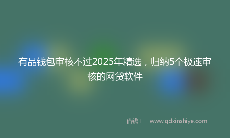 有品钱包审核不过2025年精选，归纳5个极速审核的网贷软件