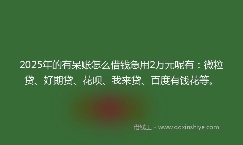 2025年的有呆账怎么借钱急用2万元呢有：微粒贷、好期贷、花呗、我来贷、百度有钱花等。
