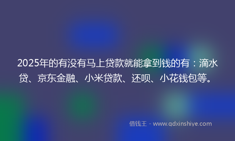 2025年的有没有马上贷款就能拿到钱的有：滴水贷、京东金融、小米贷款、还呗、小花钱包等。