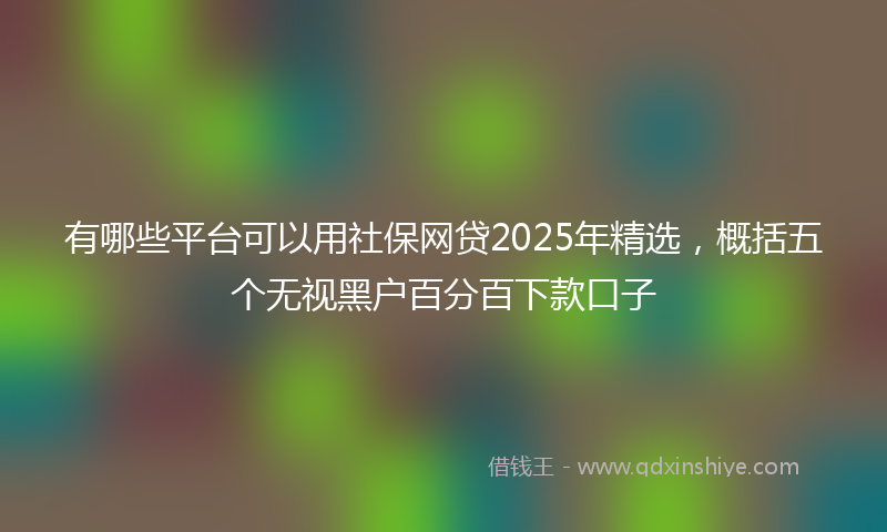 有哪些平台可以用社保网贷2025年精选，概括五个无视黑户百分百下款口子