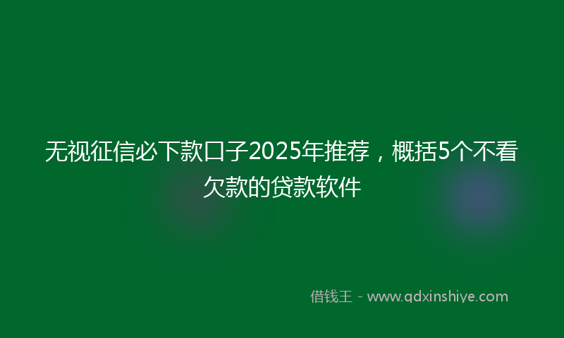 无视征信必下款口子2025年推荐，概括5个不看欠款的贷款软件