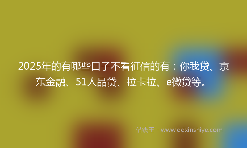 2025年的有哪些口子不看征信的有：你我贷、京东金融、51人品贷、拉卡拉、e微贷等。