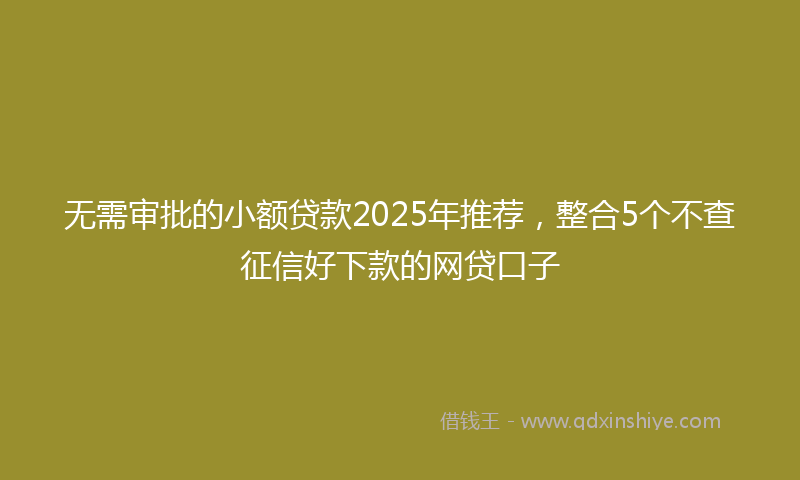 无需审批的小额贷款2025年推荐，整合5个不查征信好下款的网贷口子