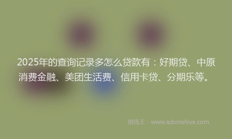 2025年的查询记录多怎么贷款有：好期贷、中原消费金融、美团生活费、信用卡贷、分期乐等。