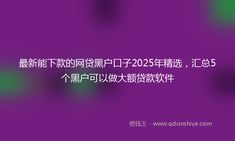 最新能下款的网贷黑户口子2025年精选，汇总5个黑户可以做大额贷款软件