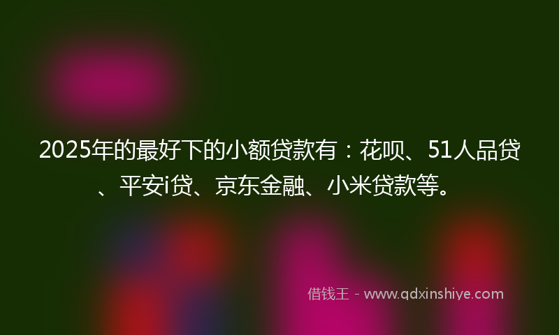 2025年的最好下的小额贷款有：花呗、51人品贷、平安i贷、京东金融、小米贷款等。