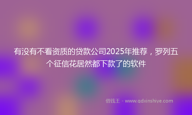 有没有不看资质的贷款公司2025年推荐，罗列五个征信花居然都下款了的软件