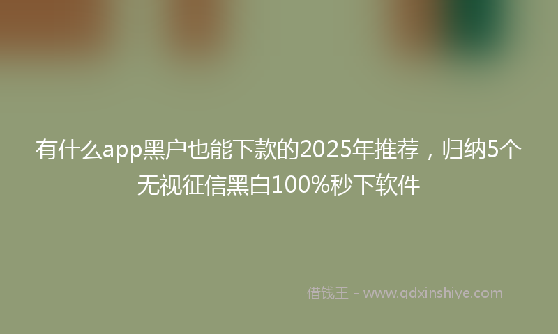 有什么app黑户也能下款的2025年推荐，归纳5个无视征信黑白100%秒下软件