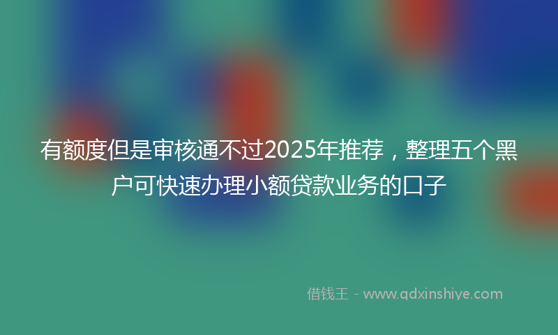 有额度但是审核通不过2025年推荐，整理五个黑户可快速办理小额贷款业务的口子