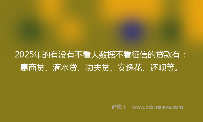 2025年的有没有不看大数据不看征信的贷款有：惠商贷、滴水贷、功夫贷、安逸花、还呗等。