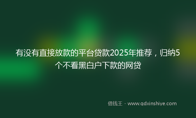 有没有直接放款的平台贷款2025年推荐，归纳5个不看黑白户下款的网贷