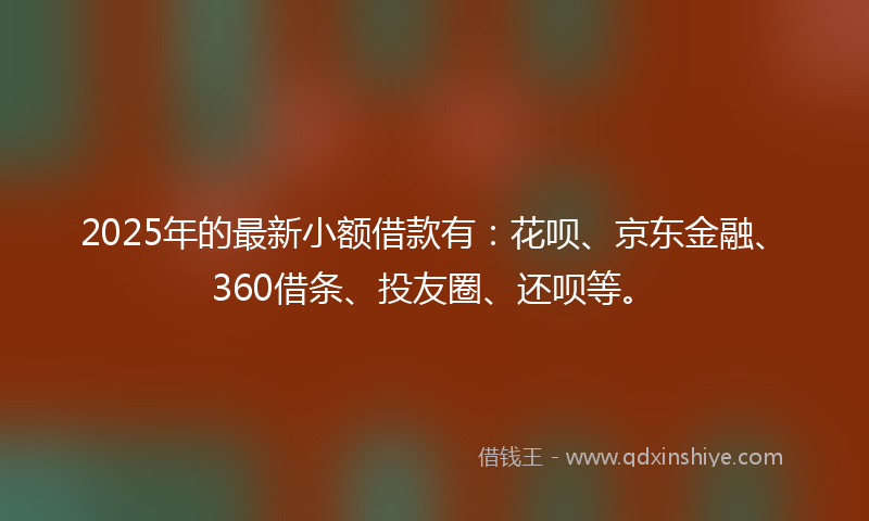 2025年的最新小额借款有：花呗、京东金融、360借条、投友圈、还呗等。