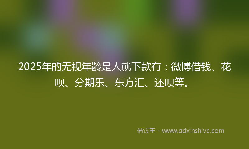 2025年的无视年龄是人就下款有：微博借钱、花呗、分期乐、东方汇、还呗等。
