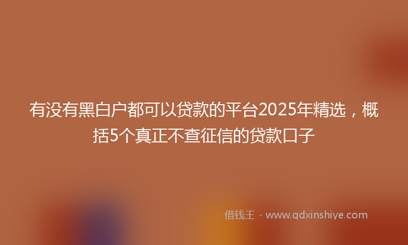 有没有黑白户都可以贷款的平台2025年精选，概括5个真正不查征信的贷款口子