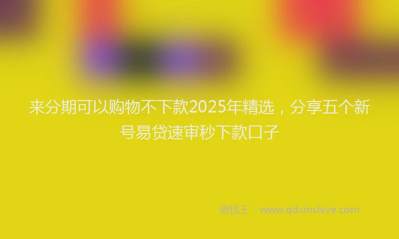 来分期可以购物不下款2025年精选，分享五个新号易贷速审秒下款口子