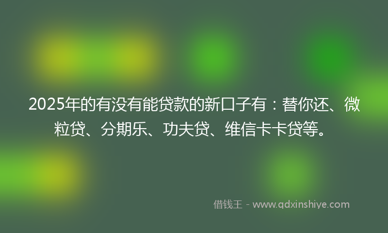 2025年的有没有能贷款的新口子有：替你还、微粒贷、分期乐、功夫贷、维信卡卡贷等。
