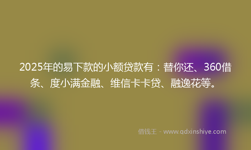 2025年的易下款的小额贷款有：替你还、360借条、度小满金融、维信卡卡贷、融逸花等。