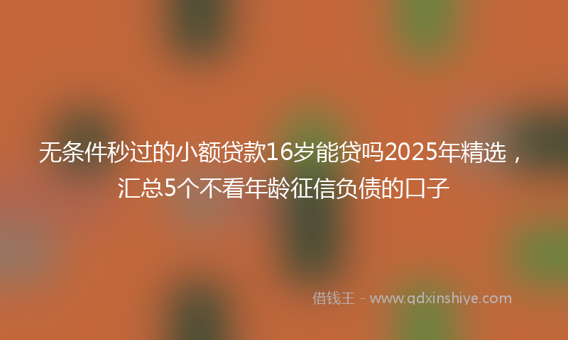 无条件秒过的小额贷款16岁能贷吗2025年精选，汇总5个不看年龄征信负债的口子