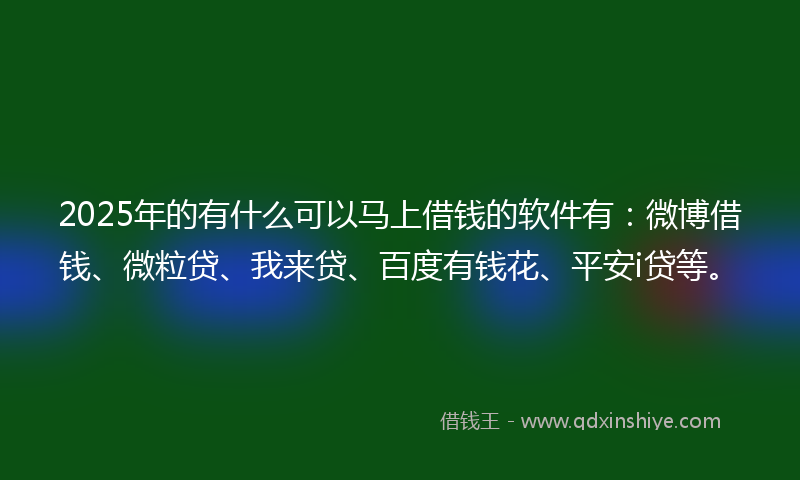 2025年的有什么可以马上借钱的软件有：微博借钱、微粒贷、我来贷、百度有钱花、平安i贷等。
