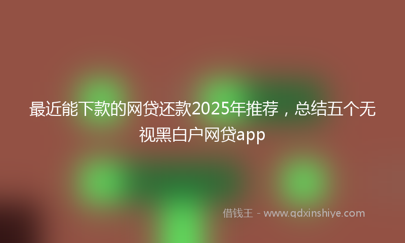 最近能下款的网贷还款2025年推荐，总结五个无视黑白户网贷app