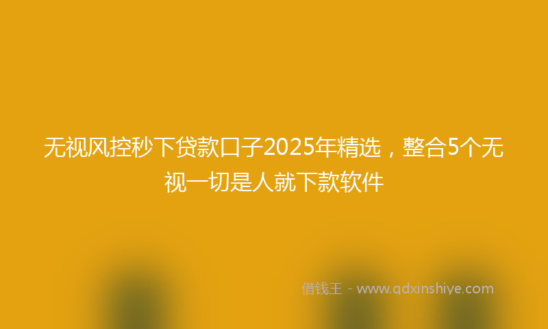 无视风控秒下贷款口子2025年精选，整合5个无视一切是人就下款软件