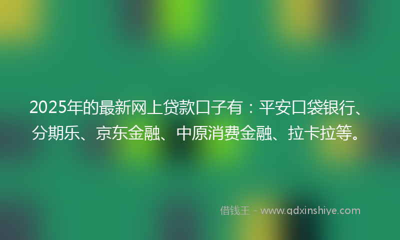 2025年的最新网上贷款口子有：平安口袋银行、分期乐、京东金融、中原消费金融、拉卡拉等。