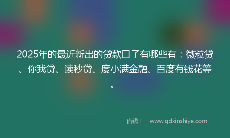 2025年的最近新出的贷款口子有哪些有：微粒贷、你我贷、读秒贷、度小满金融、百度有钱花等。
