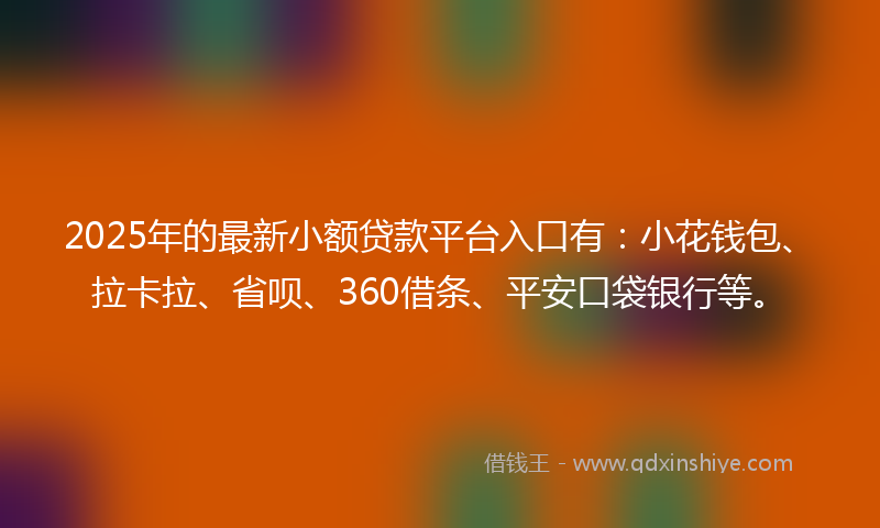 2025年的最新小额贷款平台入口有：小花钱包、拉卡拉、省呗、360借条、平安口袋银行等。