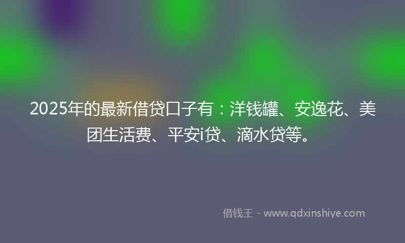 2025年的最新借贷口子有：洋钱罐、安逸花、美团生活费、平安i贷、滴水贷等。