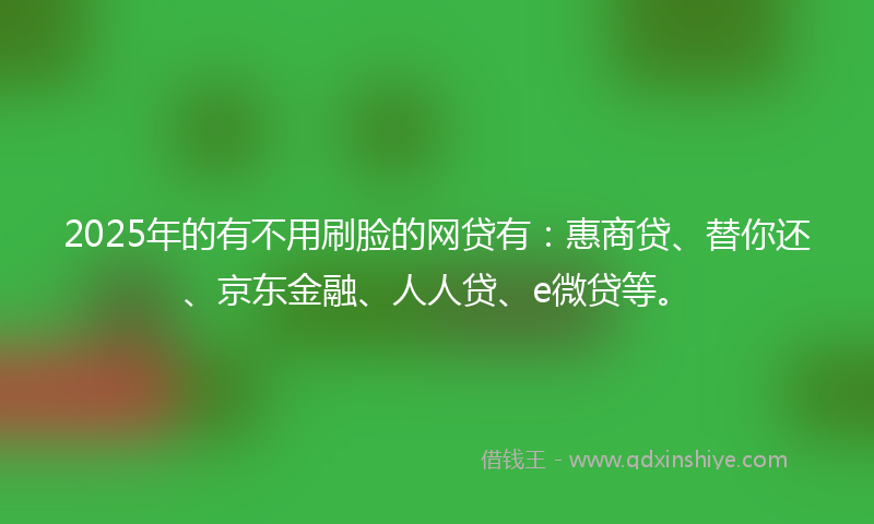 2025年的有不用刷脸的网贷有：惠商贷、替你还、京东金融、人人贷、e微贷等。