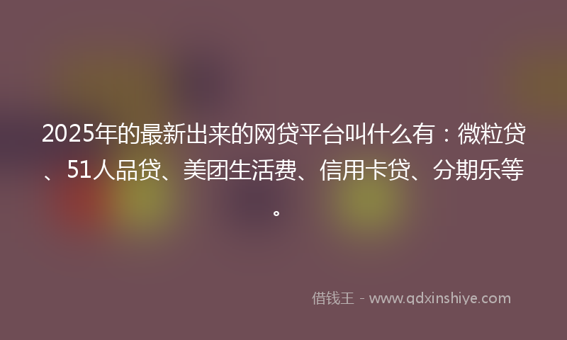 2025年的最新出来的网贷平台叫什么有：微粒贷、51人品贷、美团生活费、信用卡贷、分期乐等。
